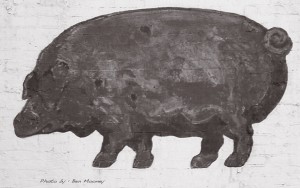 Pig by Ben Mooney in New York